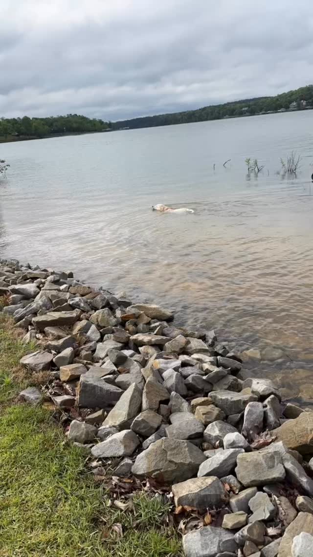 Living his best life.